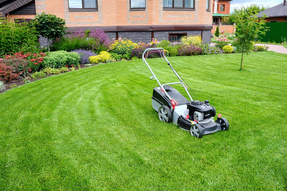 Quality Lawn Care by College Lawn Care. Serving Edmonton and Calgary