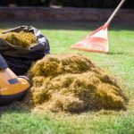 Power Raking and Lawn Dethatching by College Lawn Care