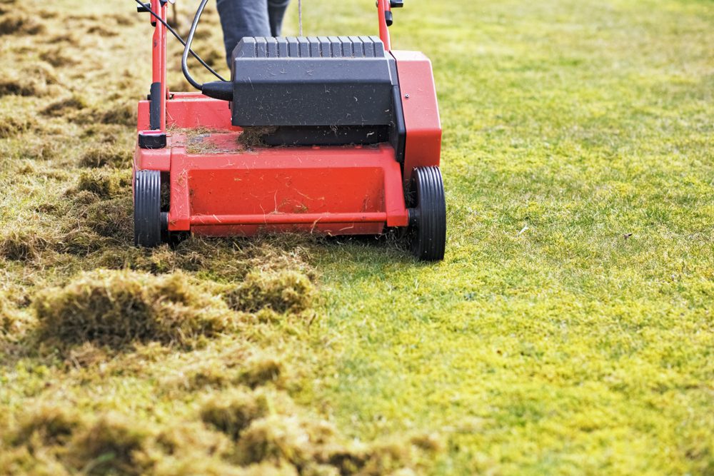 Lawn Dethatching by College Lawn Care