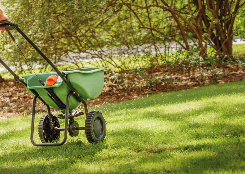 Lawn Fertilizer and Lawn Care by College lawn Care
