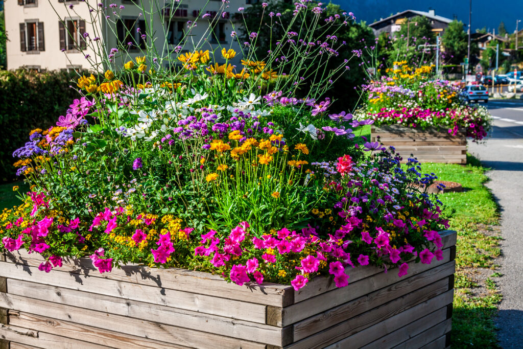Flower Bed Care and Bed Maintenance by College Lawn Care