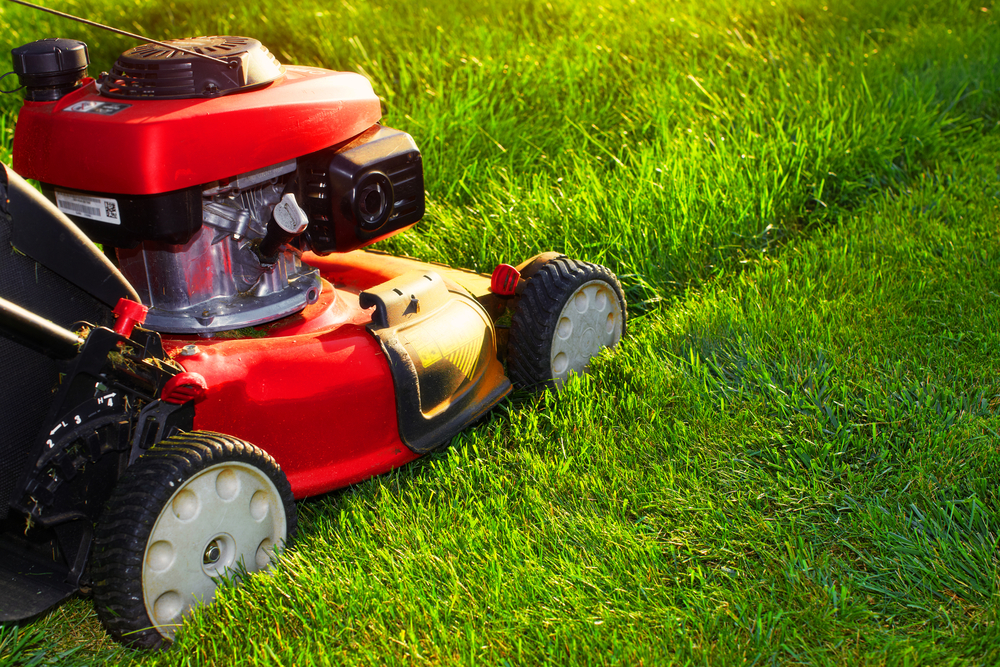 Affordable Lawn Care Services by College Lawn Care